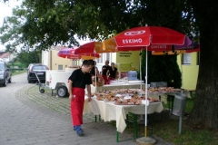 DSCN6341