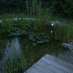 stellw_11